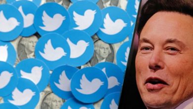 Фото - Илон Маск рассчитывает определить долю ботов в Twitter при помощи данных для рекламодателей