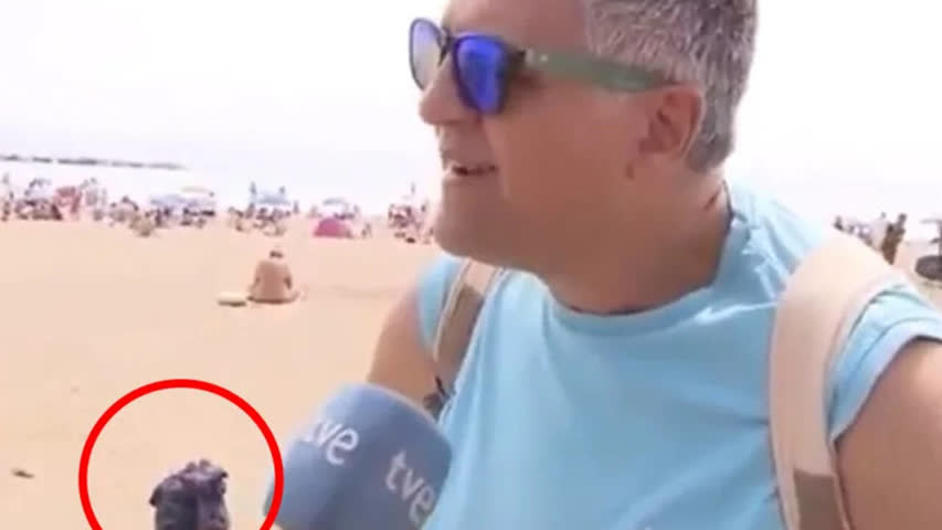 Фото - Интервью с туристом помогло поймать пляжного вора