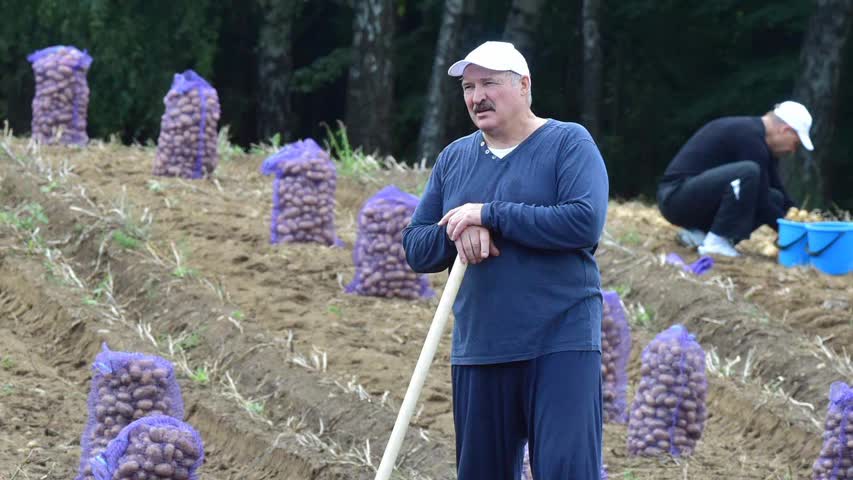 Фото - Лукашенко подарил журналистам президентского пула по мешку картошки
